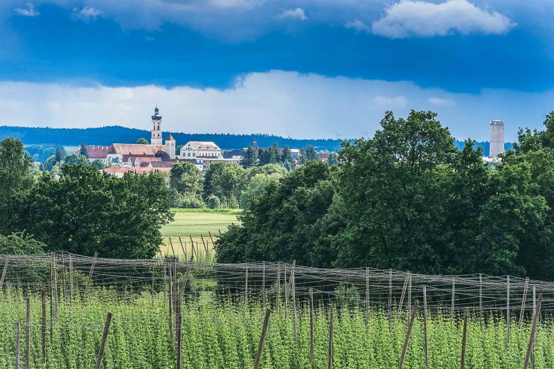 Hallertau Insider - Geisenfeld