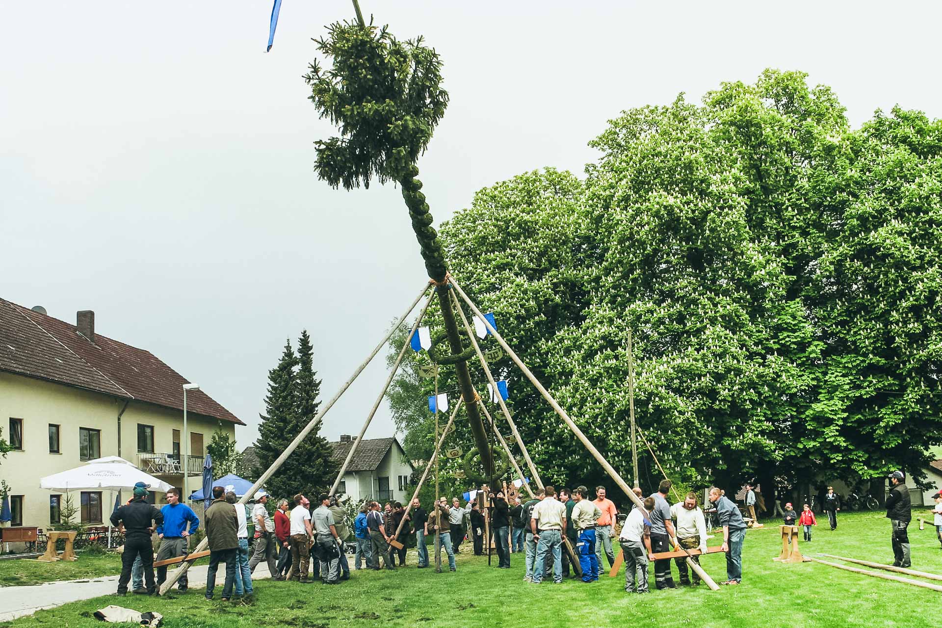 Das Sonntags Quiz Maibaumstehlen Was Ist Erlaubt Was Nicht   RS149799 Maibaum Geroldshausen 0212011 