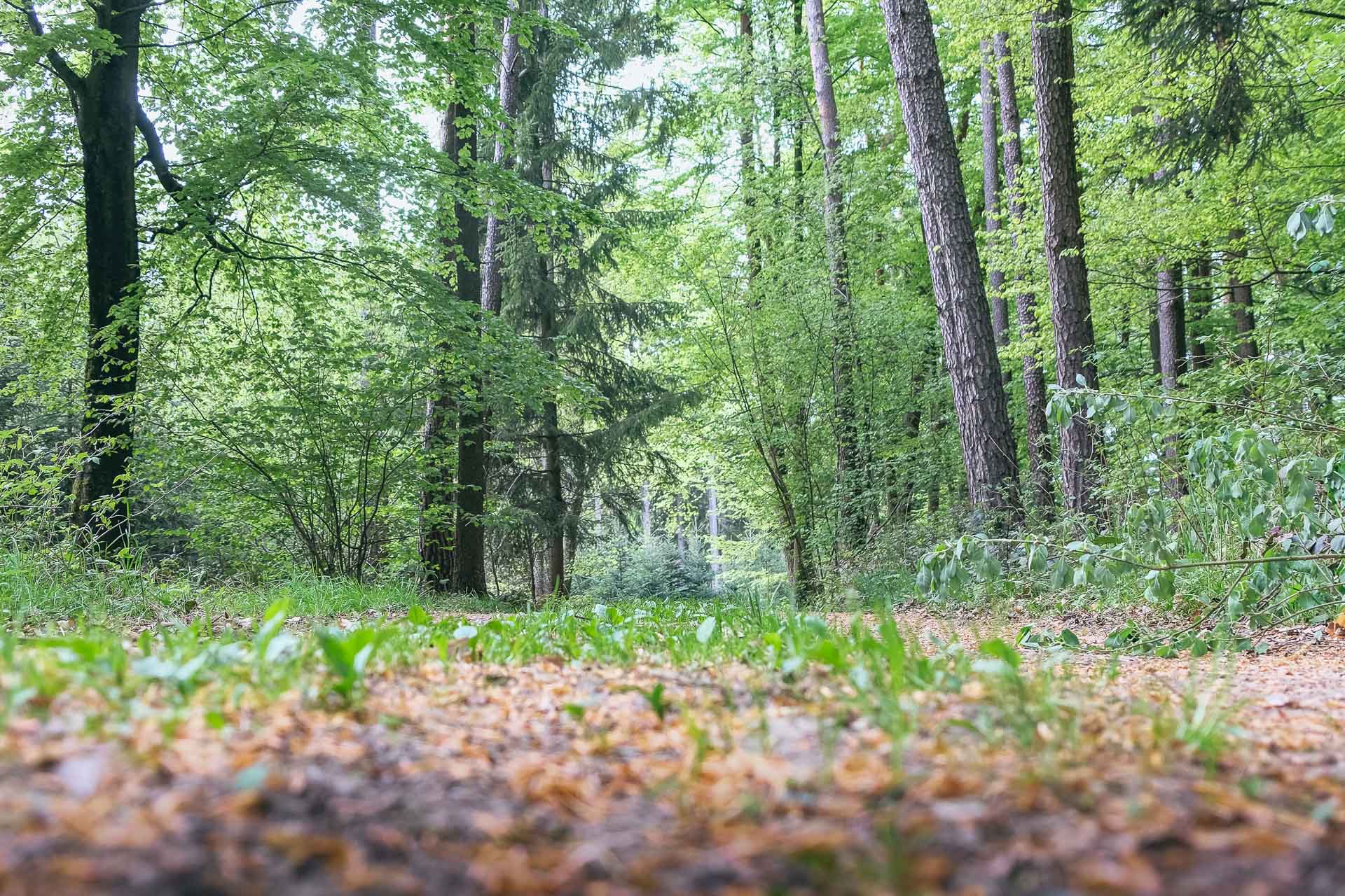 DSCF1342-22020