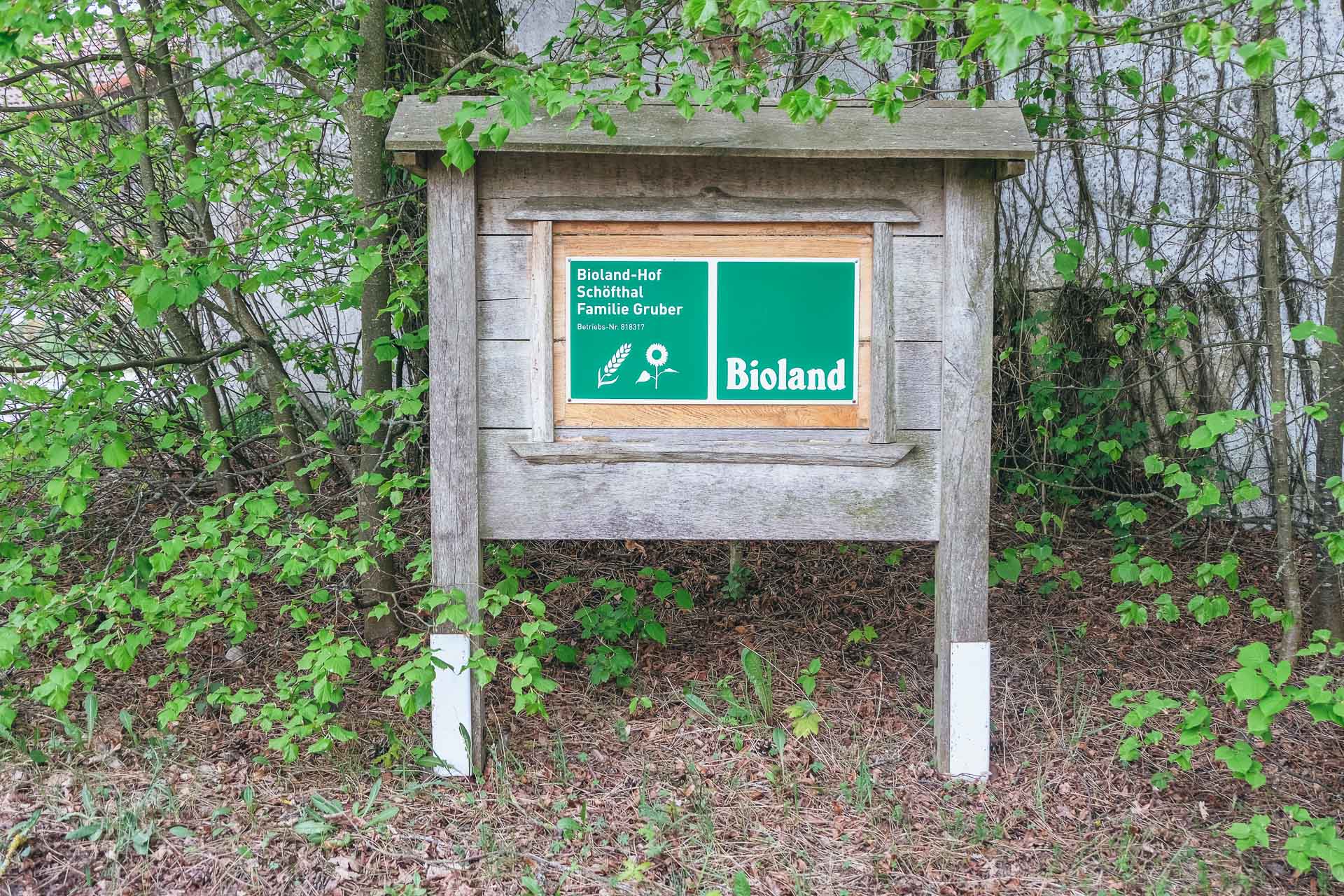 DSCF1372-22020