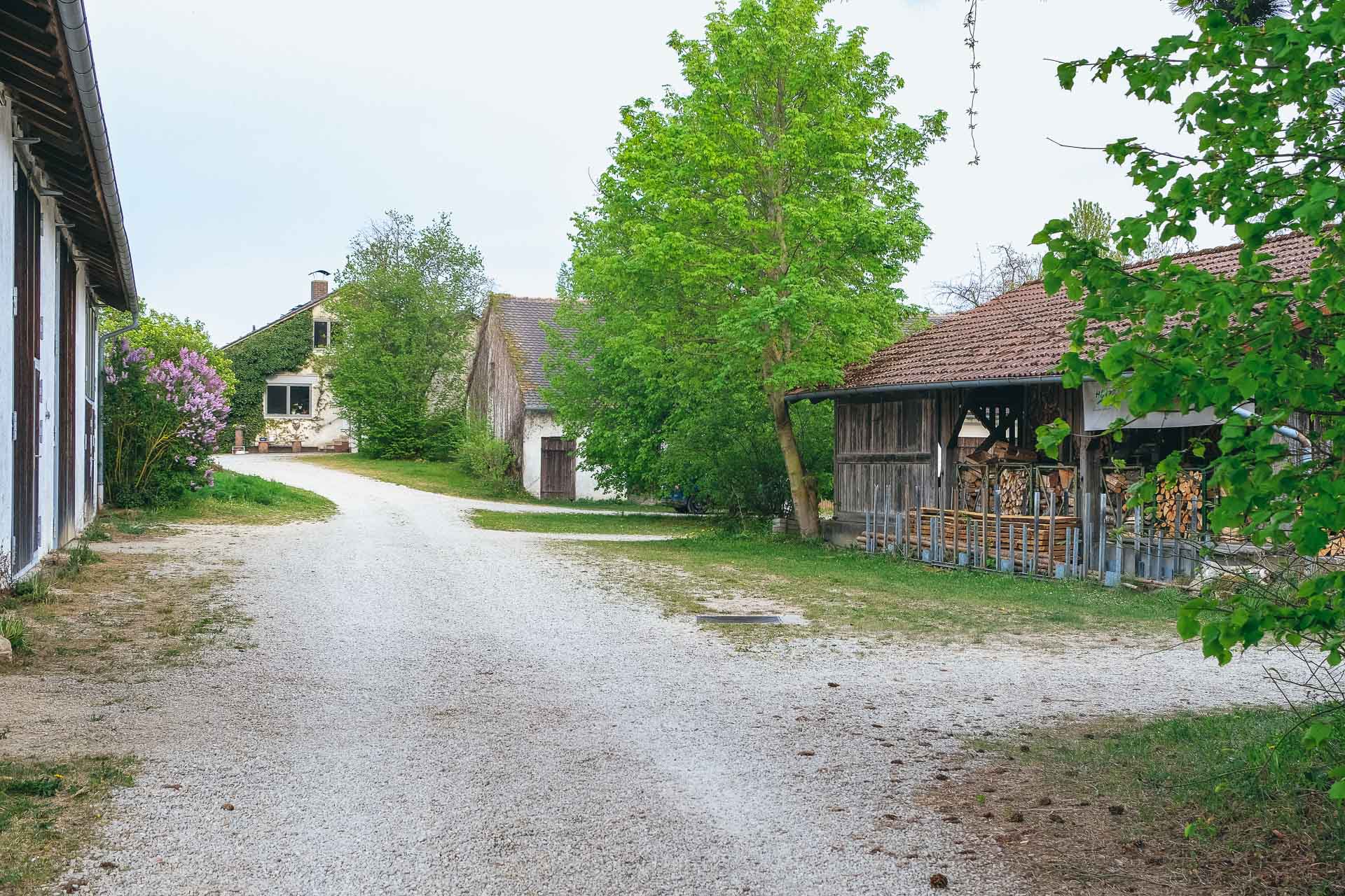 DSCF1373-22020