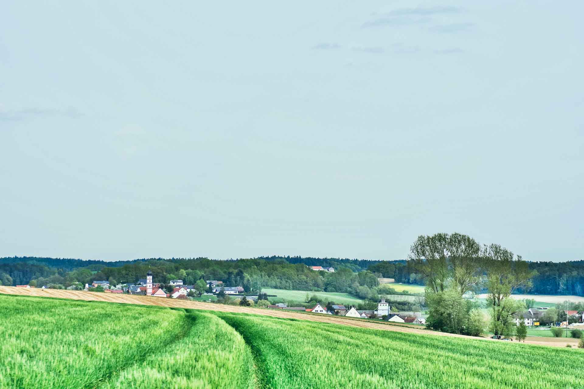 IMGP1448_E-22020
