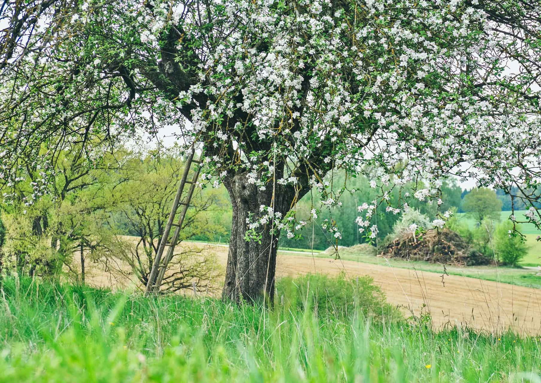 IMGP1450_E-22020