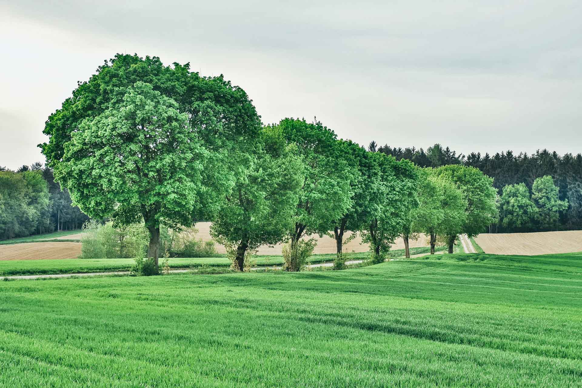 IMGP1483_E-22020