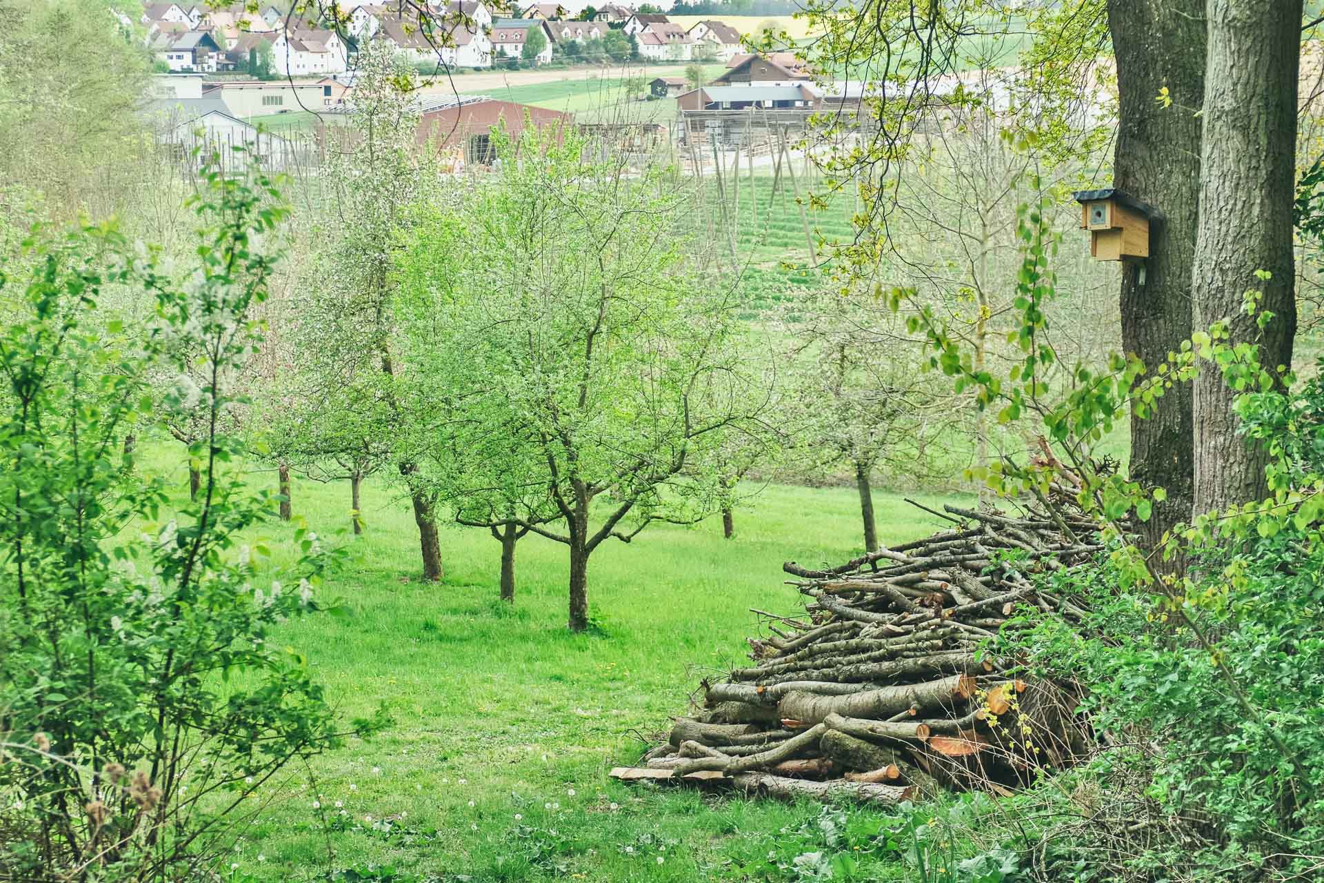 IMGP1524_E-22020