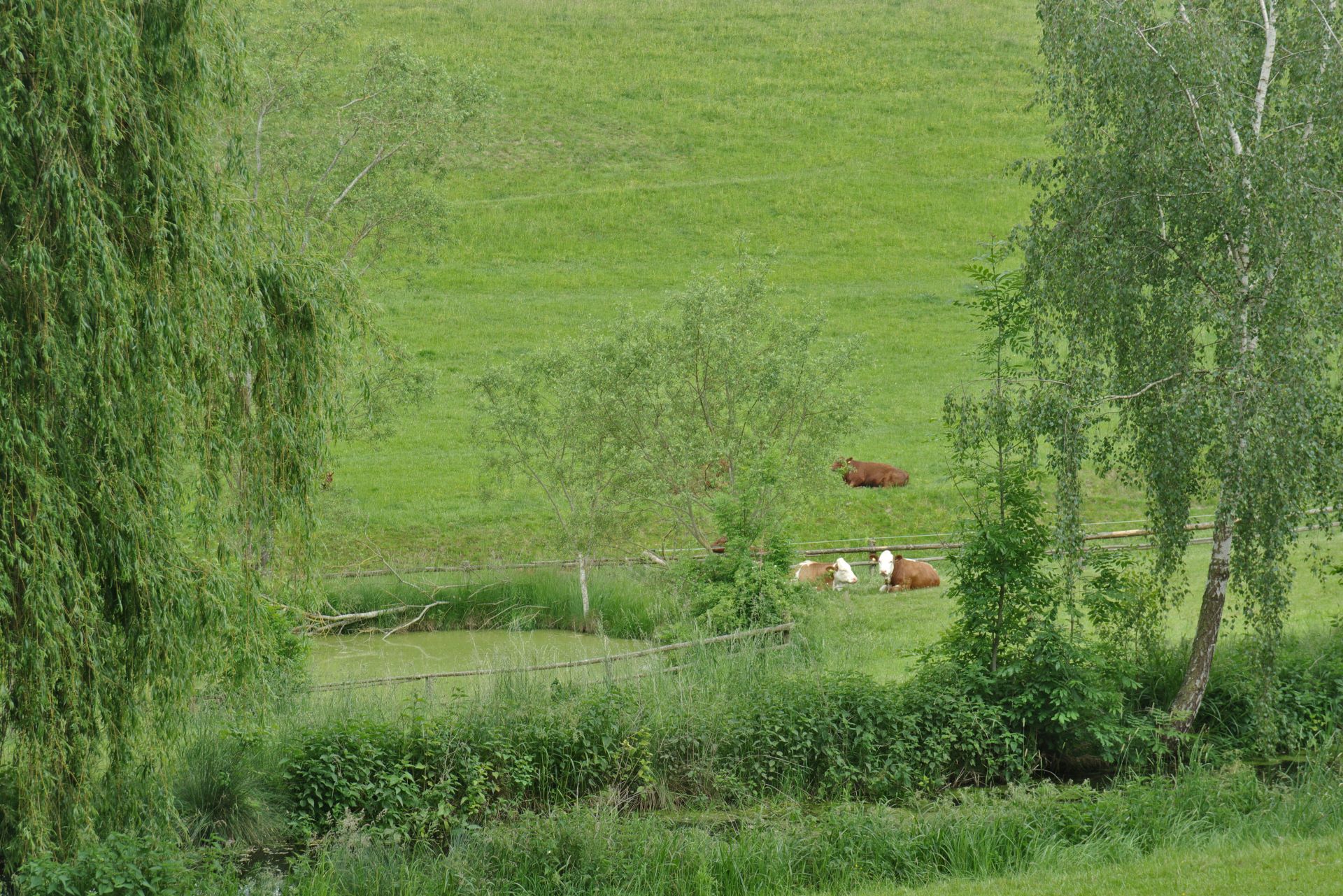 15 zurück _in Ilmberg