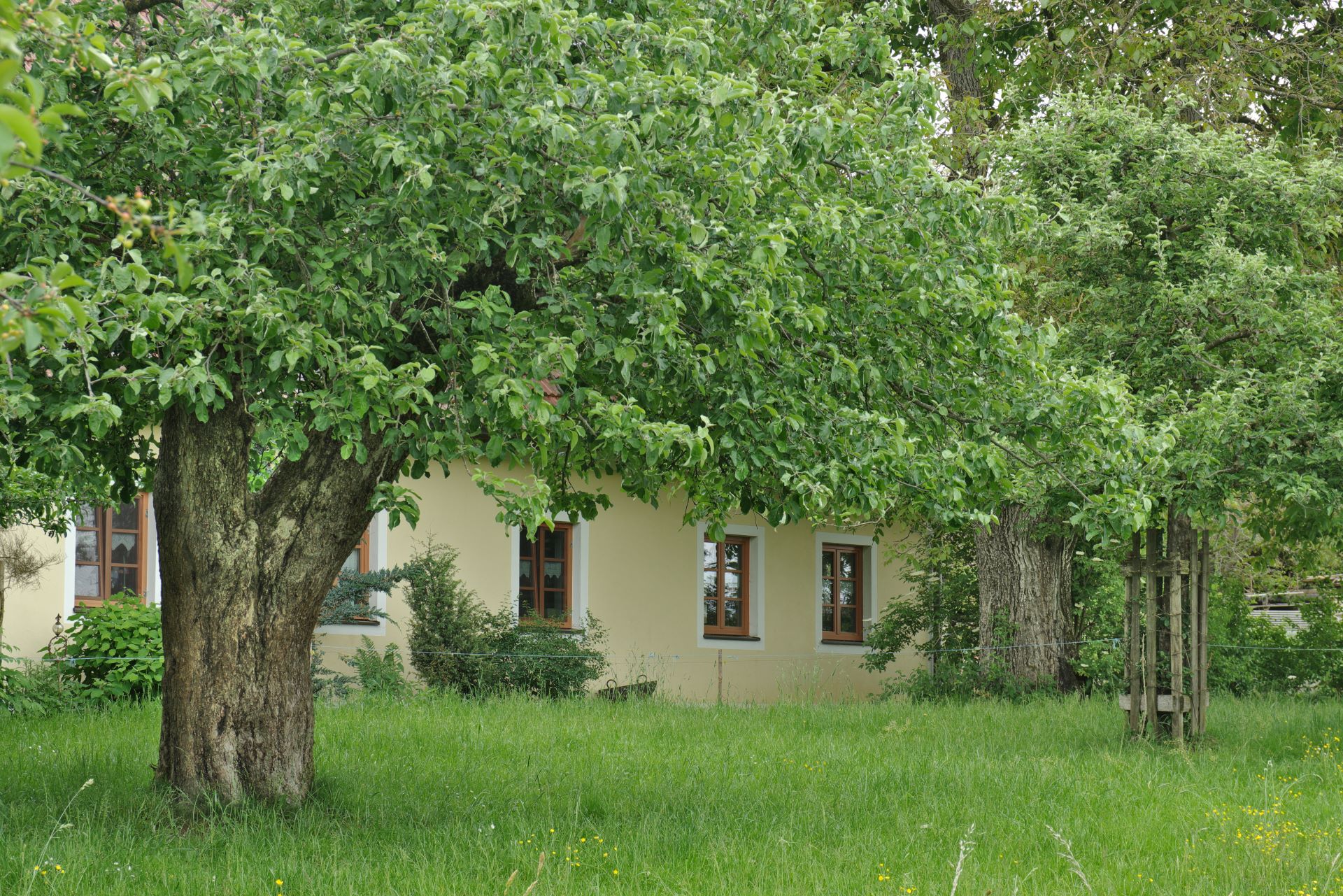 2_Hof-in-Ilmberg