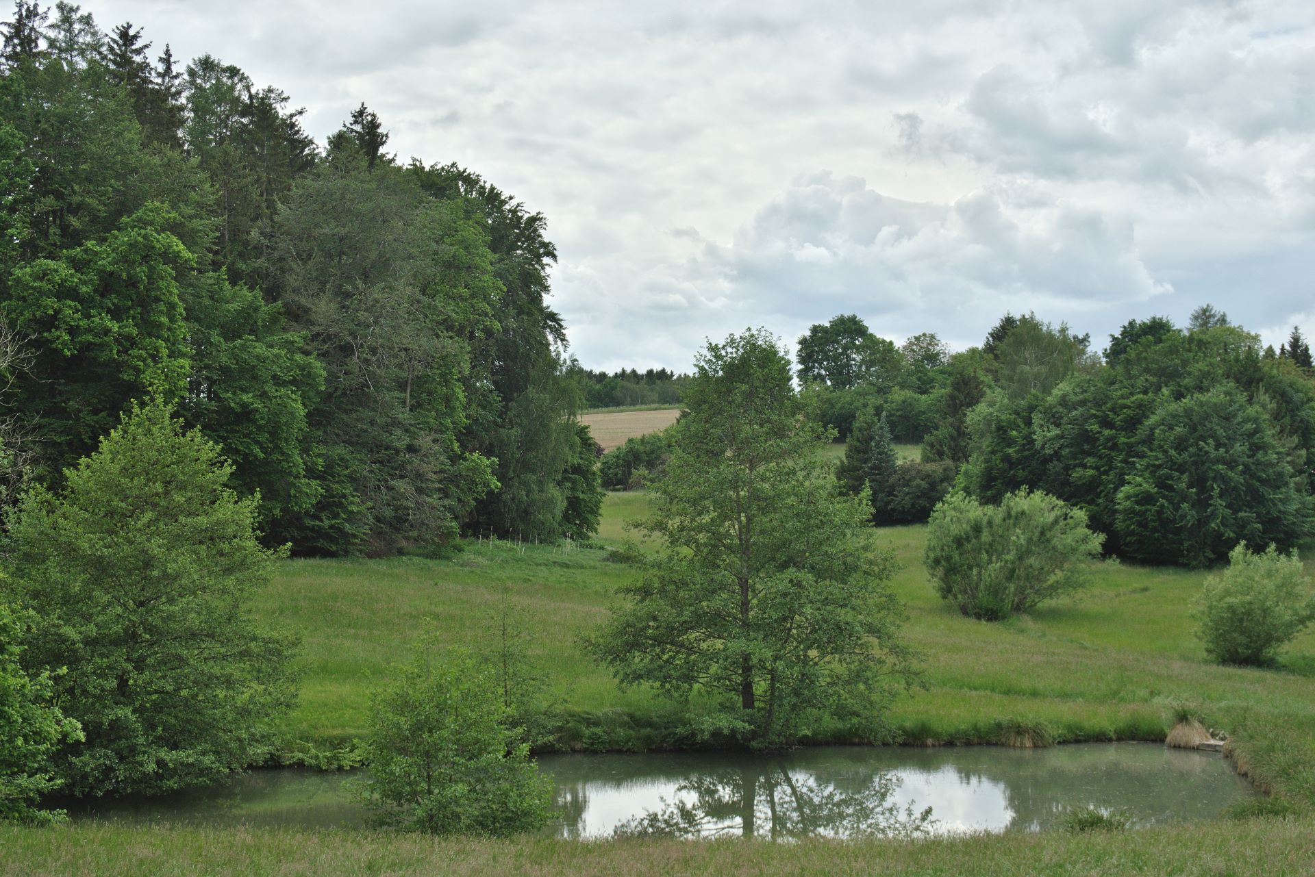 5 Weiher-bei-Gurnöbach
